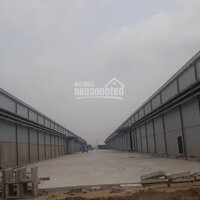 Cho Thuê 2 Xưởng 2000M2 Và 5000M2 Gần Kcn Tràng Duệ, Có Hệ Thống Pccc Tự Động