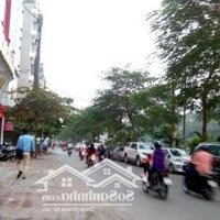 Giá Đầu Tư, Mặt Phố Nguyễn Khang Quận Cầu Giấy, 225M2 Mặt Tiền 23M, Vị Trí Siêu Vip