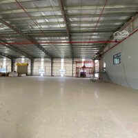 Cho Thuê Kho Xưởng, Nhà Xưởng 4000 - 8000 M2 Tại Kcn Long Hậu, Cần Giuộc, Long An