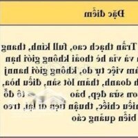Mb Kinh Doanh 100M2 Mặt Phố Quan Hoa Cầu Giấy