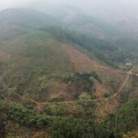 Gia đình cần Bán đất rừng sản xuất  15.486m2 ( thực tế hơn 2,3 ha) tại Đông Phong, Cao Phong, Hoà Bình . Chỉ hơn 26k cho mết đất thôi
