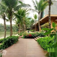 Cho Thuê Homestay Tại Biệt Thự Đảo Ecopark Grand The Island