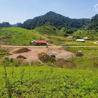 Cần tiền gấp cắt lỗ sâu mảnh đất 2.2Ha tại trung tâm du lịch huyện Mộc Châu