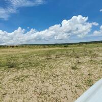 Bán 4212m2 đất mặt tiền Sông Lũy giá 610 triệu SHR, gần QL1A, Safari