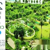 Nhận Nhà Ở Luôn - Sổ Đỏ Trao Tay Tại Căn Hộ Hồng Hà Eco City - Pháp Vân Tứ Hiệp