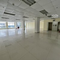 Cho Thuê Làm Vp 3 Tầng 2, Tầng 5. Tầng 6 Phúc Nga Building, Mặt Đường Quốc Lộ 5, Vị Trí Siêu Đẹp