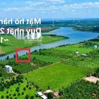 Đất Nền Gia Lai 2Xx Triệu - Tặng Chuyến Đi Đài Loan - Chiết Khấu 5%