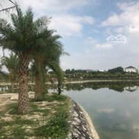 Chính Chủ Cần Bán Ngay 2 Lô Đất Biệt Thự View Hồ Tại Dự Án Chí Linh Palm City Hải Dương