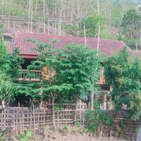 BÁN 10 hecta đất trồng cây ăn trái tại xã Ngọc Vang, Huyện Đak Hà, tỉnh Kontum