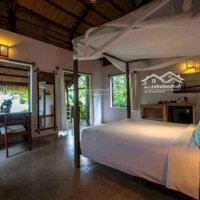 Chuyển Nhượng Biển Resort Hàm Ninh - 3000M2, 12 Phòng, Hồ Bơi Sát Biển, Nhà Hàng Âu.