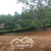 Bán Gấp Lô Đất Có Diện Tích 3576M2 Trong Đó Có 400M2 Thổ Cư Còn Lại Là Cây Lâu Năm