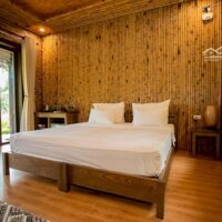 Bán Homestay Trung Tâm Khu Du Lịch Tràng An Rộng 1,6Ha Đang Làm Dự Án 3,2Ha