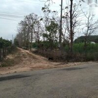 Bán Đất Vườn Xã Túc Trưng Huyện Định Quán Tỉnh Đồng Nai