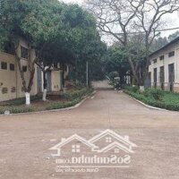 Cho Thuê Kho Xưởng Tại Thị Trấn Đông Anh, Đông Anh, Hà Nội Nhà Kho Diện Tích 1800M²