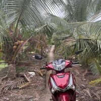 Bán 3000M2 Vườn Dừa Cách Ql1A Chỉ 1,5Km, Hệ Thống Tưới Tự Động Có Sẵn, Thu Hoạch Ổn Định Hàng Tháng