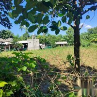 Bán Đất Nhà Vườn Giá Rẻ Tại Xã Hưng Thi Huyện Lạc Thủy Hòa Bình