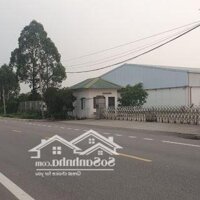 Bán Lô Đất Bìa Đỏ Diện Tích 100M2 Nằm Trên Trục Đường Lớn Hoàng Hoa Thám ( 298 )