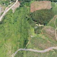 Bán rẻ đất rừng sản xuất 3,4 ha tại Yên Thuỷ bám đường chỉ 77 nghìn/ mét , bám đường lớn 500m, gần hồ nước lớn