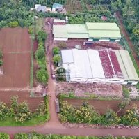 Cho Thuê Cụm Kho Từ 1.000 - 9.000M2 Tại Km18 Ql.26