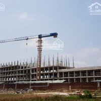 Chủ Gửi Bán 1.000M2 Đất Thổ Cư Kế Bên Bệnh Viện Đa Khoa Tt Kiến Tường