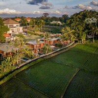 Trang Trại Villa Thái Bình - Đường 10B 2200M Giá Bán 4 Tỷ - Hồ Rộng 1500 - Vườn Trái Cây, Đường Oto Tải