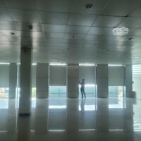 Cho Thuê Văn Phòng 340M2, 220M2, 12M2 Tòa Nhà Quy Nhơn