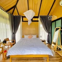 Cần Bán Khu Nghỉ Dưỡng Homestay Phương Đông Garden-Thuận Lợi Nghỉ Dưỡng Cho Gd Hoặc Đầu Tư Du Lịch