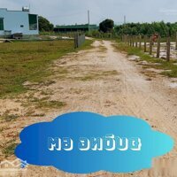 Cho Thuê Homestay Diện Tích Rộng, Giá Rẻ, Xã Tân Bình, Tx La Gi, Bình Thuận