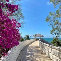 Cho Thuê Căn Hộ Ocean Vista - Sea Links City, Phan Thiết