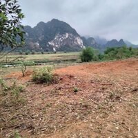 Chính Chủ Cần Bán Gấp Hơn 2500M2 Đất View Sông, Đối Diện Dự Án 60Ha Việt Eco