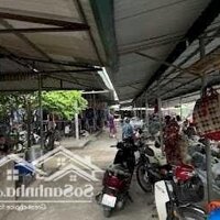 Bán Đất Trục Đường Chính Ql2C Sơn Dương ,Sát Da Flamingo, Kd Homestay Và Nhà Hàng Tốt, Giá 50 Triệu/M2