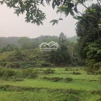 Đất Đường Tỉnh Lộ 12B Tại Thu Phong Cao Phong Giáp Kim Bôi 3.3Ha Có 7000M2 Đất Vườn Thổ Cư