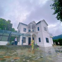 Vỡ Nợ Cần Bán Rẻ Và Gấp Villa Ở Nam Sơn - Sổ Đỏ Mới - 6500 Mét - Nhà Mới Xây Có Bể Bơi To Đẹp