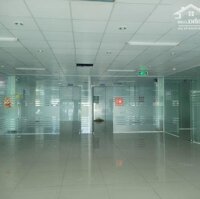 Cho Thuê Văn Phòng 340M2 ,220M2 ,120M2 Tại Quy Nhơn