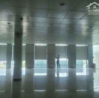 Cho Thuê Văn Phòng 340M2 ,220M2 ,120M2 Tại Quy Nhơn