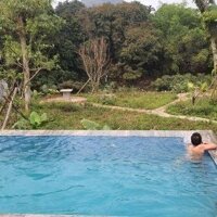 Cho Thuê Villa Riêng Biệt View Sông Cách Hn 40Km Giá Siêu Ưu Đãi