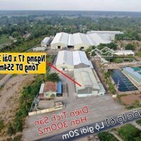 Cho Thuê Kho Xưởng Mặt Tiền Ql61 Vị Trí Đẹp