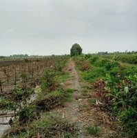 Bán Đất Vườn Xã Tân Thành Huyện Thủ Thừa