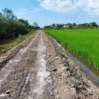 Đất Lúa Xã Mỹ Thạnh, Thủ Thừa Giá Rẻ