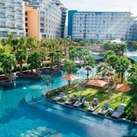 Bán Nhanh Căn Siêu Phẩm Condotel Sun Phú Quốc View Biển Cực Đẹp, Lợi Nhuận Đều Và 15 Đêm Nghỉ