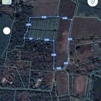 Bán Đất Xã Lang Minh, Xuân Lộc: 5.200M2, Giá Bán 4,5 Tỷ