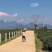 Cần Bán 1400M Đất Vườn Nằm Trong Khu Dân Cư Tại Hòa Sơn.
-Vị Trí: Xuân Phú, Hòa Sơn, Hòa Vang.