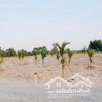 Đất Nhà Cắt Bán 1000M2 Đất Ở Ninh Tây - Ninh Hoà. Giá Chỉ 200 Triệu