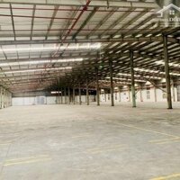 Cho Thuê 6000M2 Có Pccc Tự Động Tại Phố Nối A