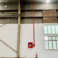 Cho Thuê 6000M2 Có Pccc Tự Động Tại Phố Nối A