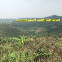 Bán Gấp! Đất View Đẹp Chính Chủ Di Linh