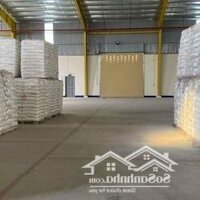 X302. Cho Thuê Kho Bãi Kcn Hải Sơn, Hạnh Phúc, Tân Đô, Tân Đức Tại Đức Hòa, Long An