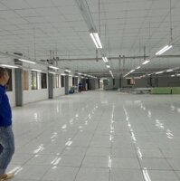 Minh Hải Văn Lâm Hưng Yêndiện Tích1500M2 Tầng 1, Tầng 2 500M2