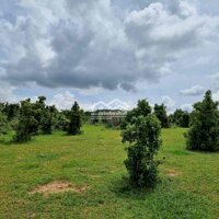 Đất Vườn Bình Thuận Giá Siêu Rẻ