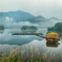 Cho Thuê 20.000M2 Diện Tích Vườn Ao Chuồng , Hồ Câu Tại Thụy Lôi Kim Bảng Hà Nam Liên Hệ: 0964859595